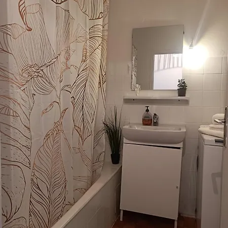 Avec Terrase Appartement Nice
