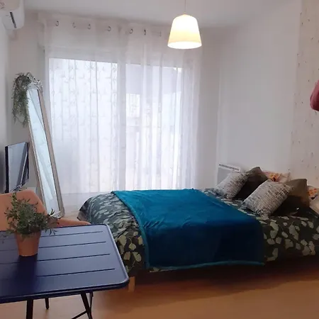Διαμέρισμα Avec Terrase Parking Νίκαια