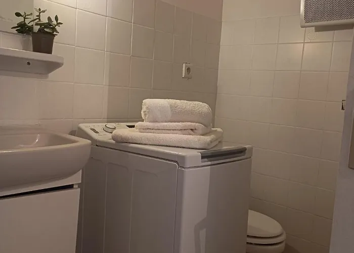 Avec Terrase Appartement